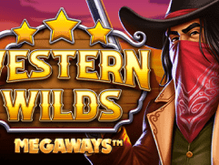 ویسٹرن وائلڈز میگا ویز game thumbnail